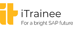 iTrainee logo
